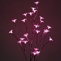 Светодиодная флористика